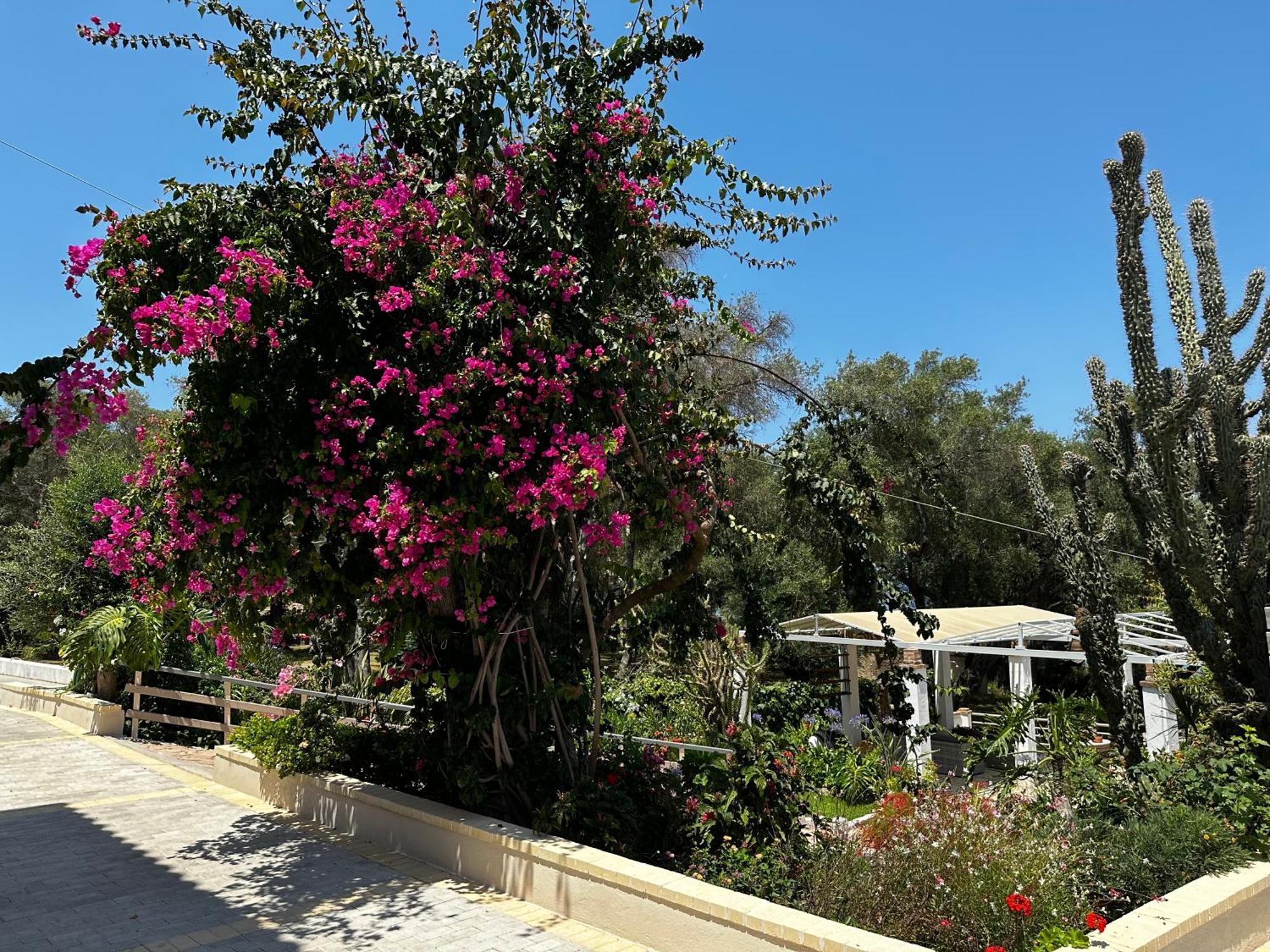Sailors Luxury * Agia Pelagia Chlomou